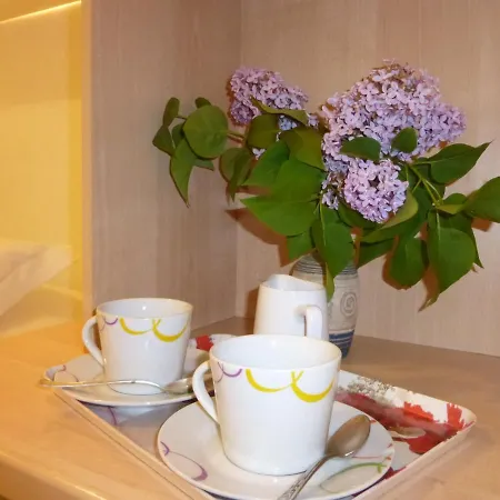 Monica Guest house *
